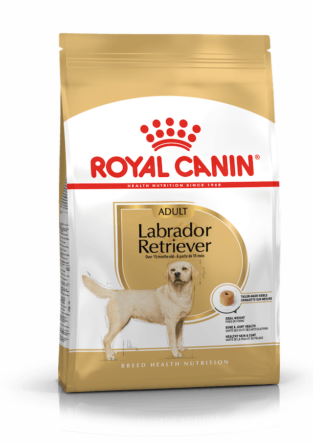 Royal Canin Breed Health Nutrition (Labrador Adult)