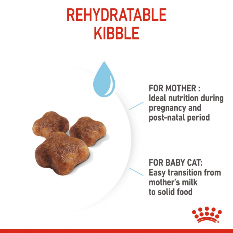 Royal Canin Feline Health Nutrition (Mother and Babycat) 4kg- (Near Expiry)