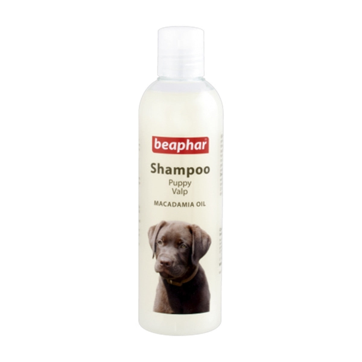 Shampoo Macadamia - 250ml