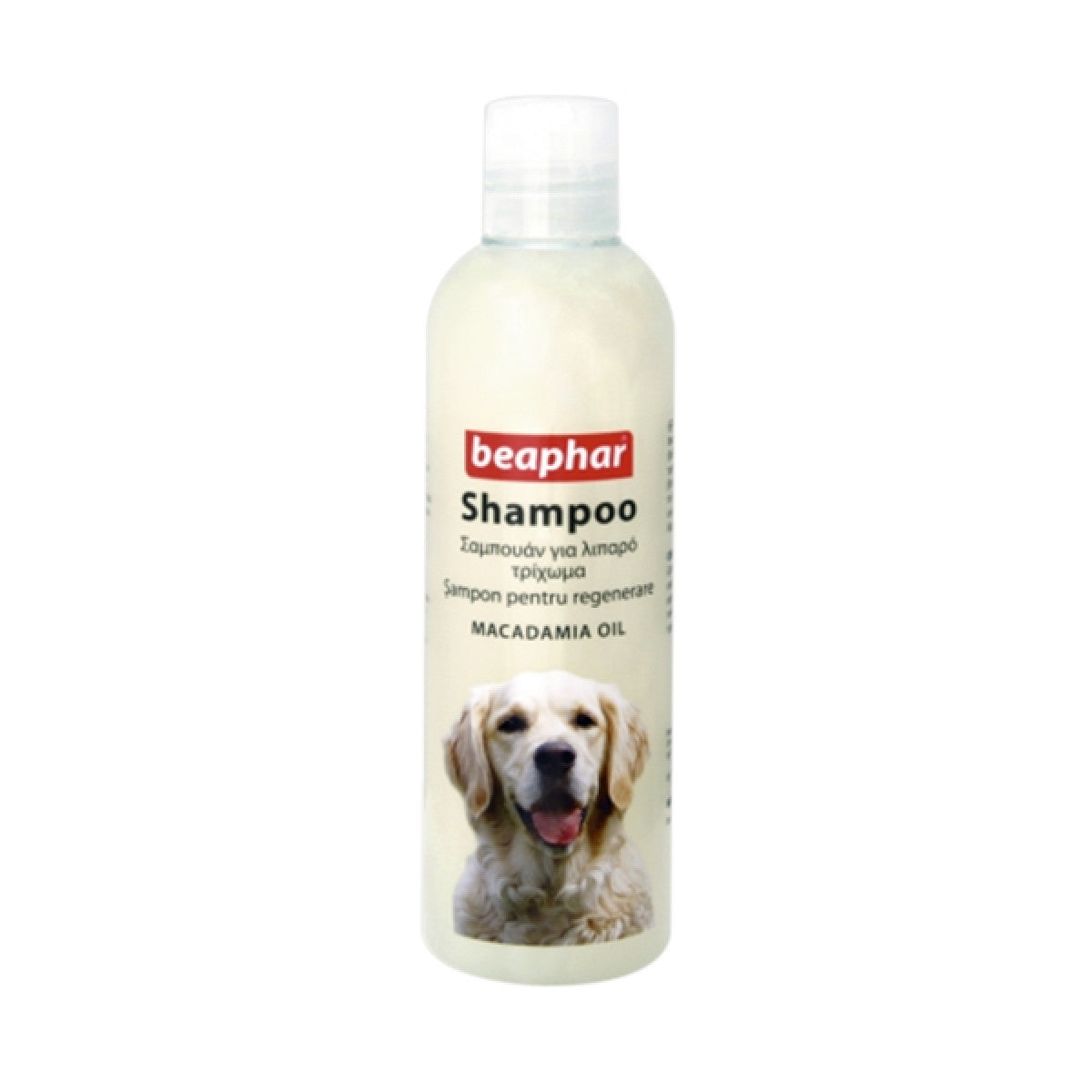 Shampoo Macadamia - 250ml