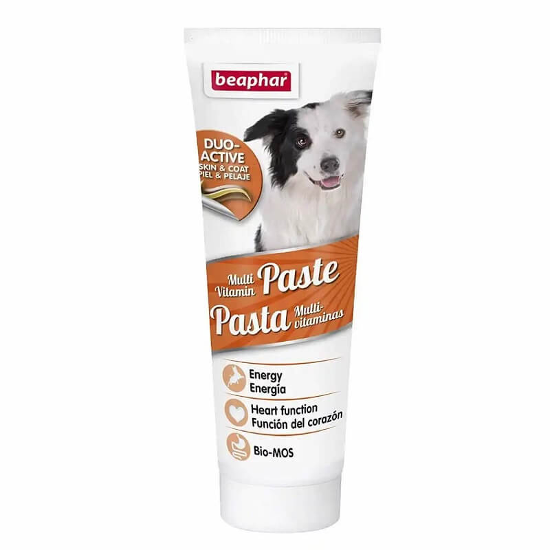 Dog Duo Active Paste Multivitamin - 100g