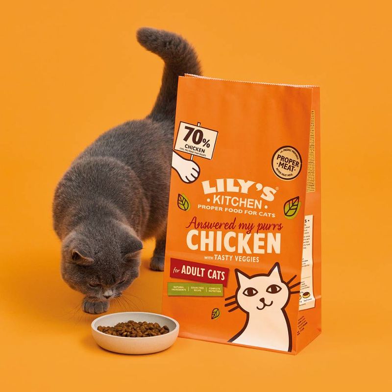 Lily's Kitchen Chicken Casserole Dry Cat Food -2kg