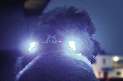 Curli Luumi LED Safety Lights