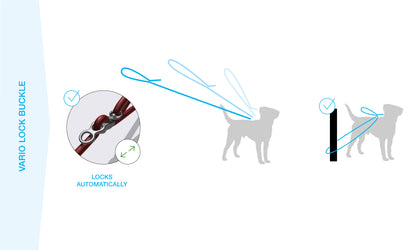 Curli Stretch Comfort Leash for Dogs - Large