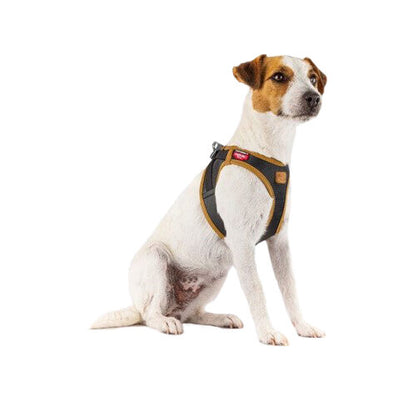 Curli Vegan Leather Harness for Dogs - Small