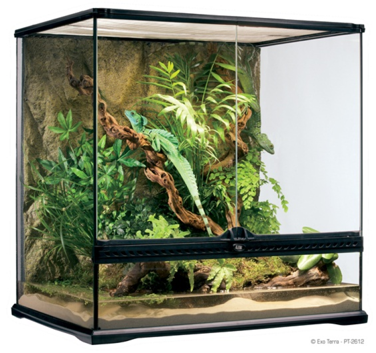 Exo Terra Natural Terrarium Medium/Tall 60 x 45 x 60cm