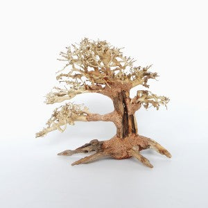 Pine Bonsai Wood