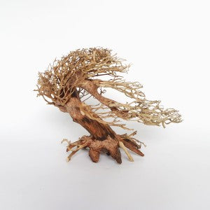 Romantic Bonsai Wood