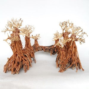 Romantic Bridge Bonsai Wood - Medium / 50x40x30cm