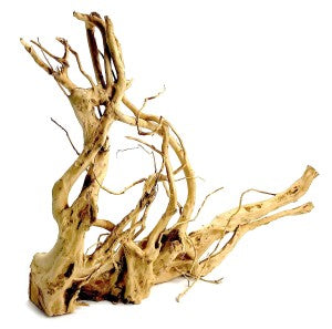 Wood Root