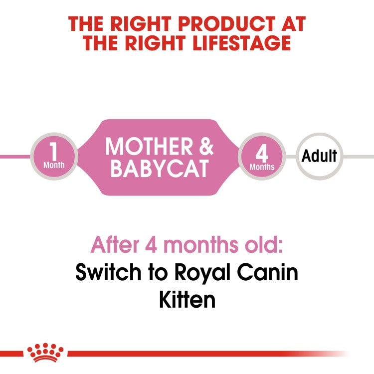 Feline Health Nutrition Mother & Babycat Mousse (Wet Food - Cans) 12 x 195 g