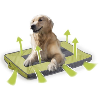 All For Paws Quick Dry Outdoor Dog Mat L - Green