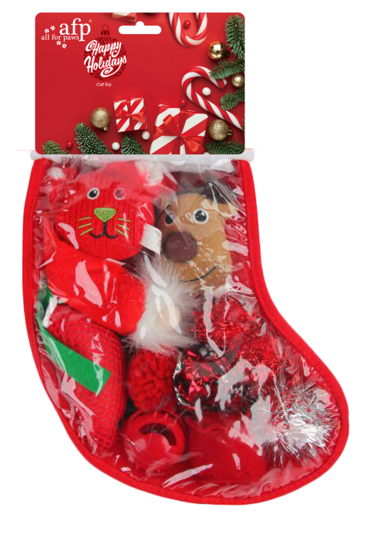 Holiday Gift Sock Red
