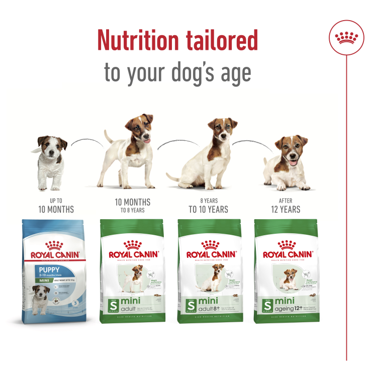 Size Health Nutrition Mini Ageing 12+ 1.5 KG