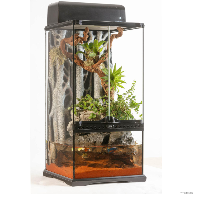 Exo Terra Advanced Paludarium & Rainforest Terrarium - Mini X-Tall - 30 x 30 x 60 cm