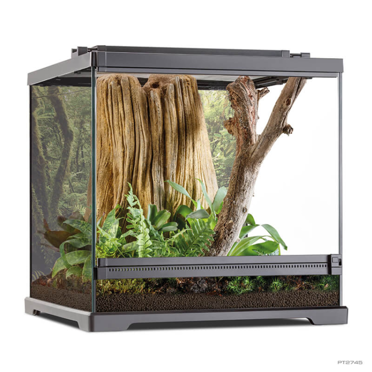 Exo Terra Dart Frog Terrarium. Amphibian Habitat 45 x 45 x 45 cm