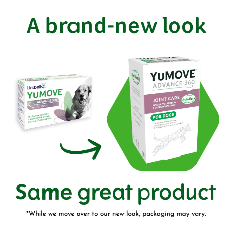 YuMove Advance 360 for Dogs 60 Tablets