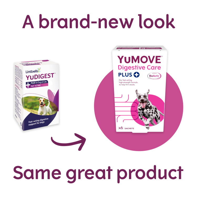 YuMOVE Digestive Care Plus 6 sachets