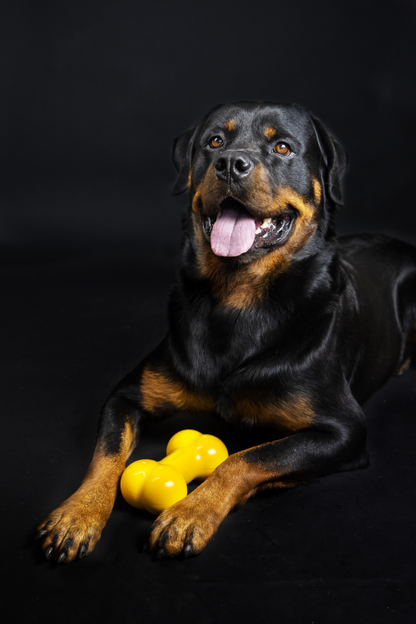 TastyBone Nylon Giant Dog - Chicken