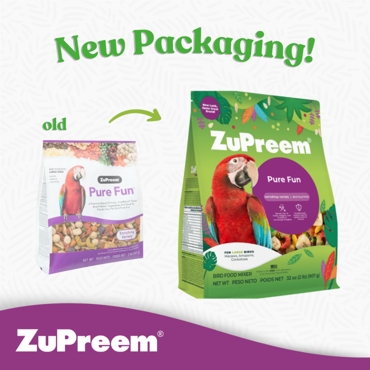 Pure Fun Large Parrots 2 lbs (0.91 kg)