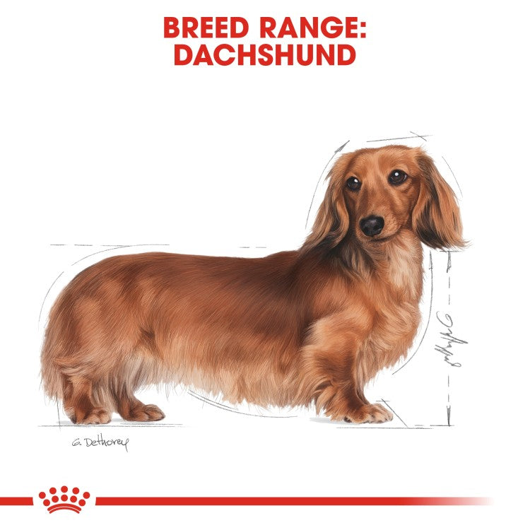 Breed Health Nutrition Dachshund Adult 1.5 KG