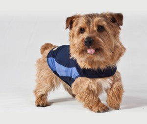 Thunder Shirt Dog Blue XXS