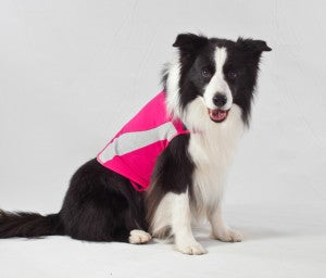 ThunderShirt Dog Pink