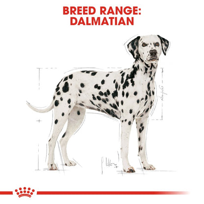 Breed Health Nutrition Dalmatian Adult 12 KG