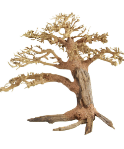 Bonsai Wood