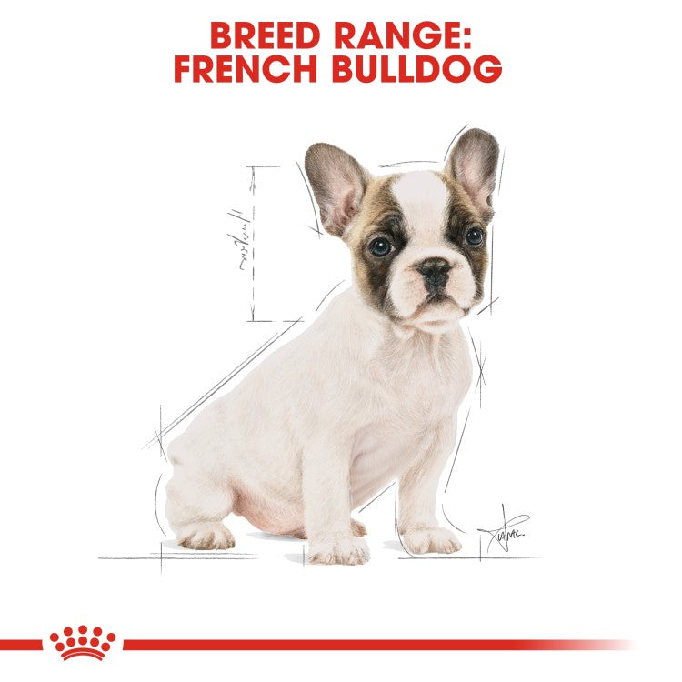 Breed Health Nutrition French Bulldog Puppy 3 KG