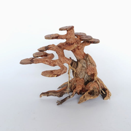 Copper Wood Tree - Medium / 30x23x13cm / BOX