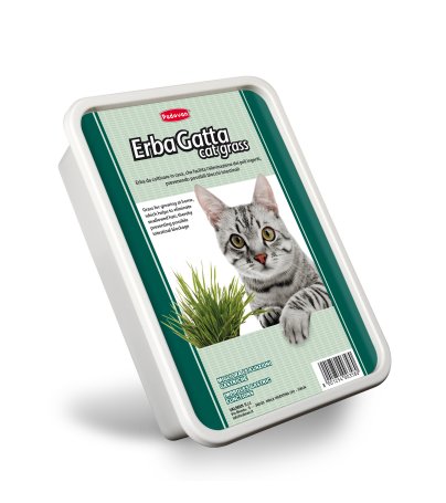 Padovan Erbagatto Cat Grass