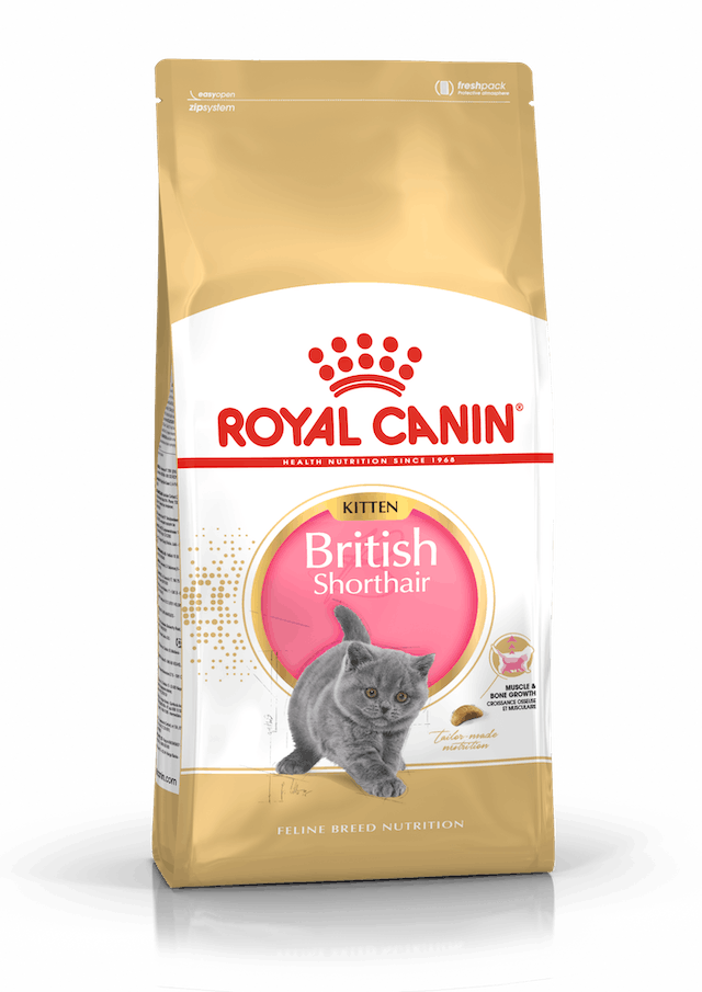 Royal Canin Feline Breed Nutrition (British Shorthair Kitten) - 2kg