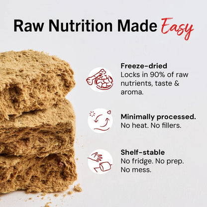 Stella & Chewy's Dog Freeze-Dried Dandy Lamb Patties – 5.5 oz