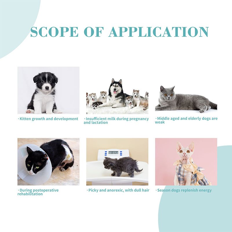 Bioline Activated Probiotics For Dogs & Cats -25g