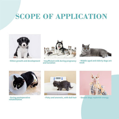 Bioline Activated Probiotics For Dogs & Cats -25g