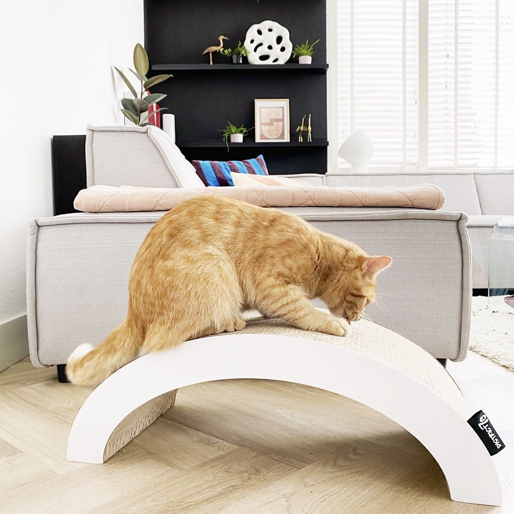 Arch Cardboard Cat Scratcher