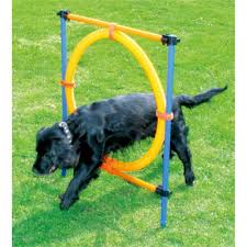 Pawpals Dog Training Ring