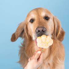 Smoofl Peanut Butter Mix for Dog Ice with 10pcs Chew Sticks - 105G
