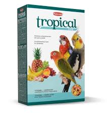 Padovan Tropical Patee - 700 gm