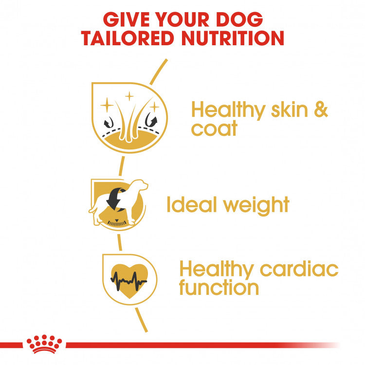 Royal Canin Breed Health Nutrition (Cocker Adult) - 3kg