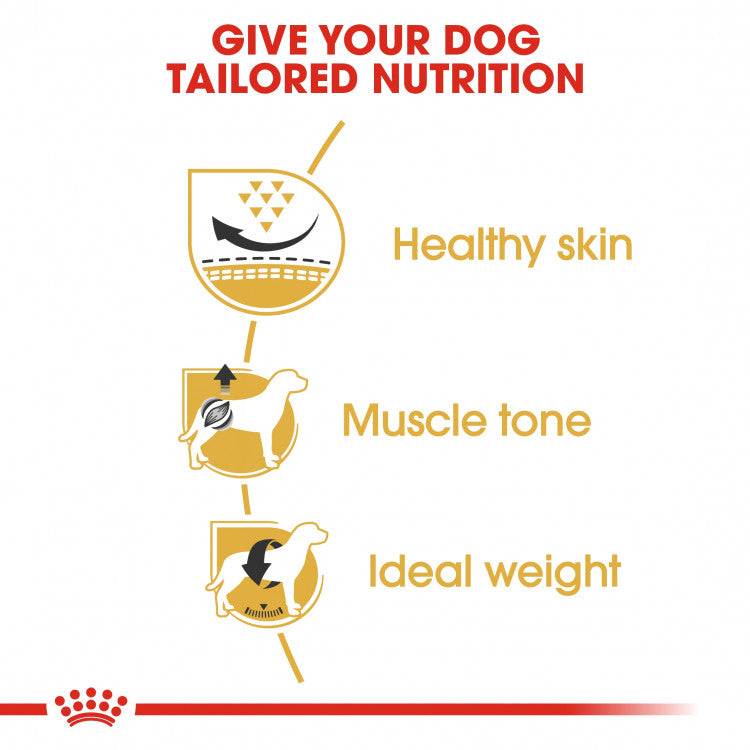 Royal Canin Breed Health Nutrition (Pug Adult) - 1.5kg