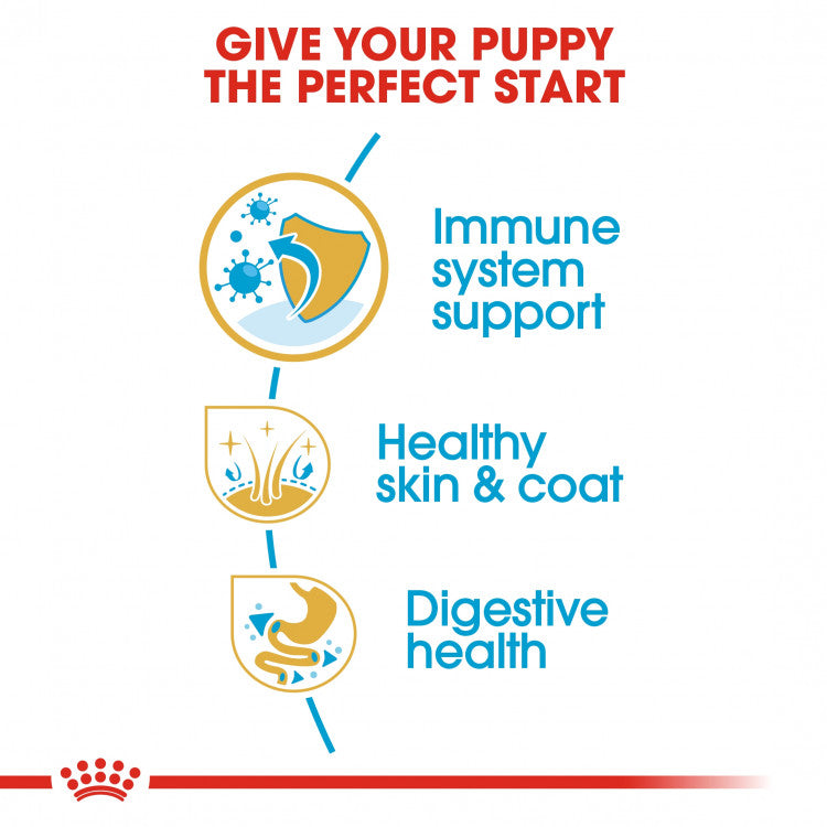 Royal Canin Breed Health Nutrition (Golden Retriever Puppy) - 12kg