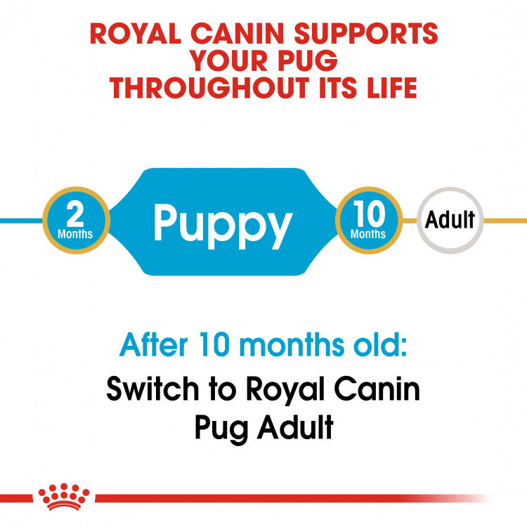 Royal Canin Breed Health Nutrition (Pug Puppy) - 1.5kg