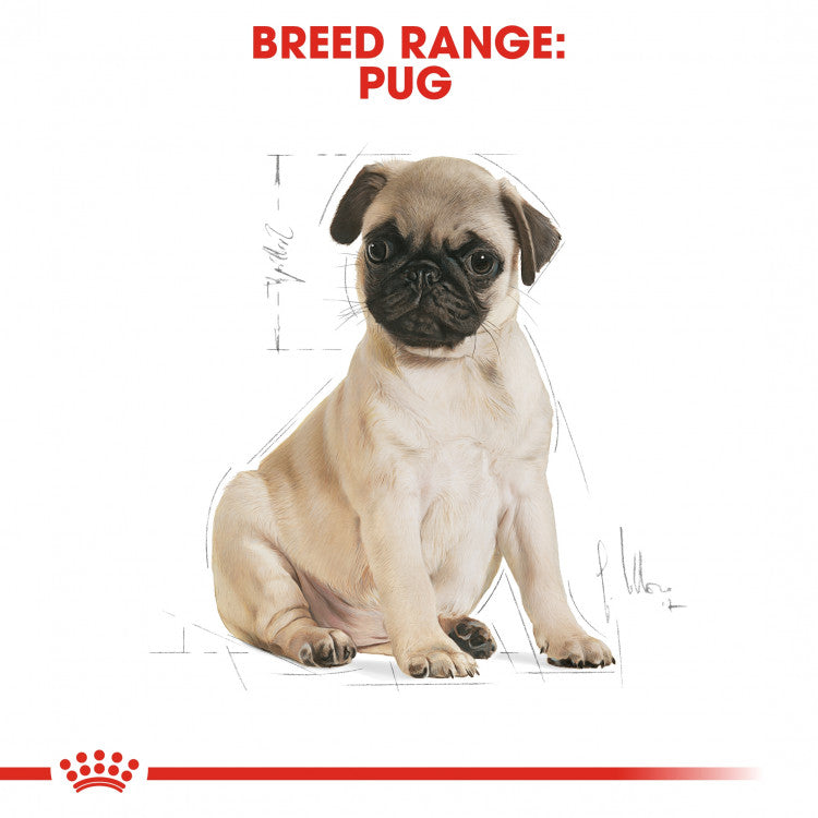 Royal Canin Breed Health Nutrition (Pug Puppy) - 1.5kg