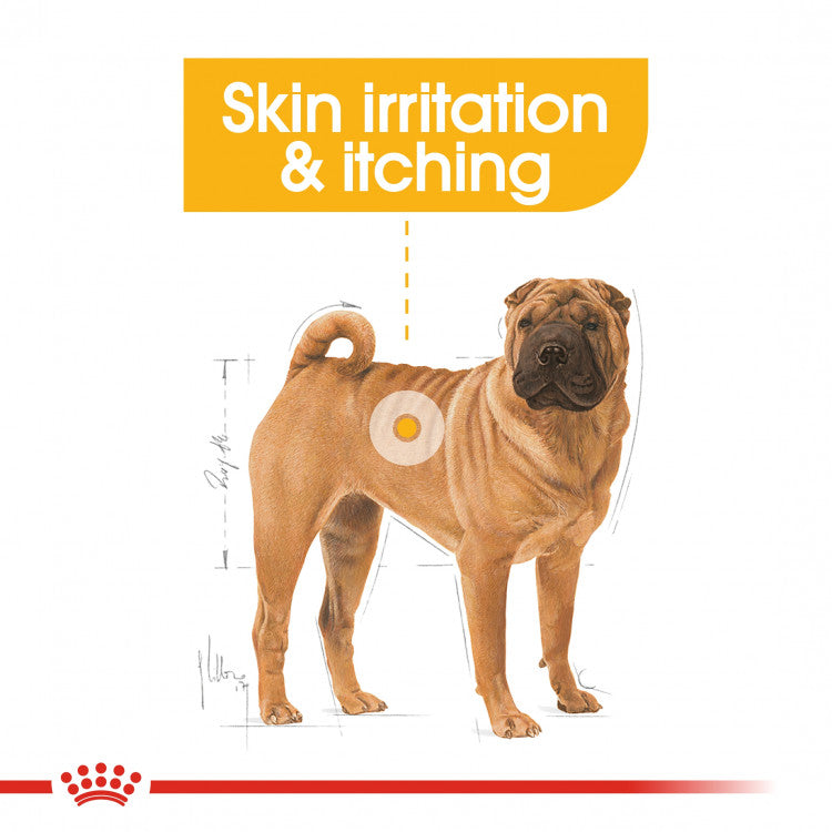 Royal Canin Canine Care Nutrition (Medium Derma Comfort) - 3kg