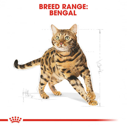 Royal Canin Feline Breed Nutrition (Bengal Adult)- 2kg