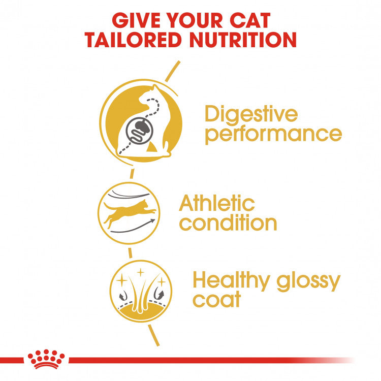 Royal Canin Feline Breed Nutrition (Bengal Adult)- 2kg