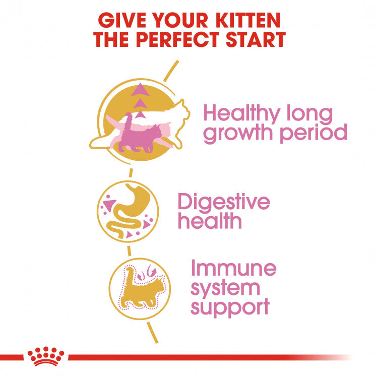 Royal Canin Feline Breed Nutrition (Maine Coon Kitten) - 2kg