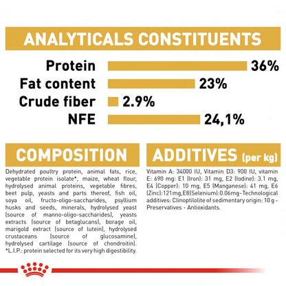 Royal Canin Feline Breed Nutrition (Maine Coon Kitten) - 2kg